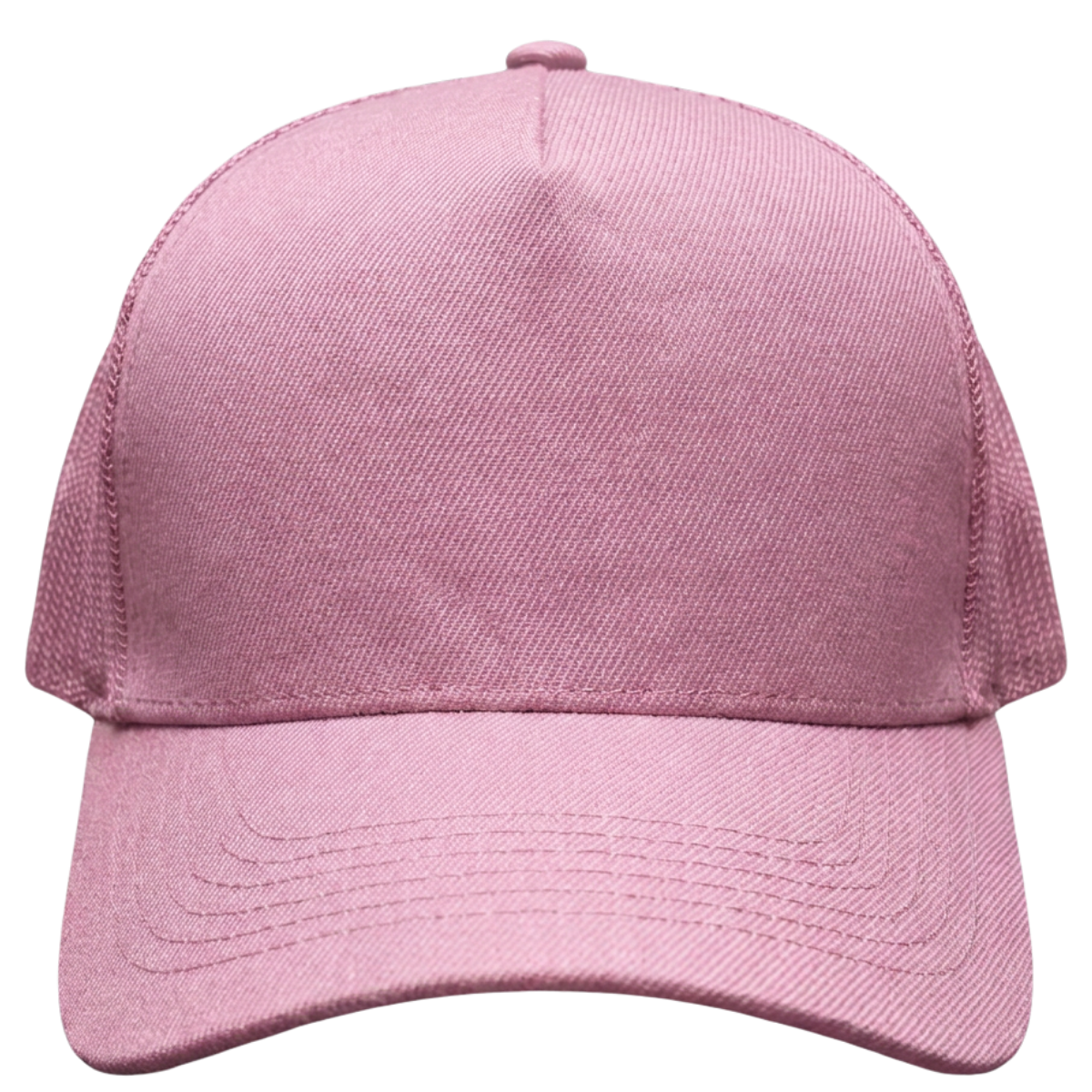 Rosa BB