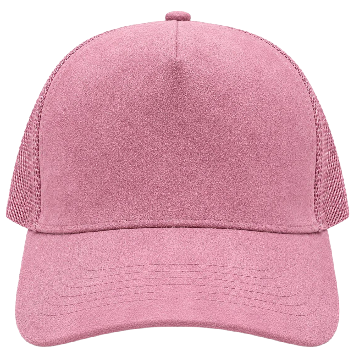 Rosa BB